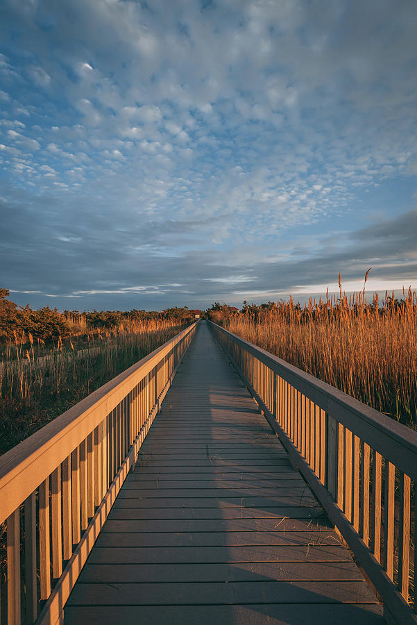 Fire Island Boardwalk Photograph by Jon Bilous - Pixels