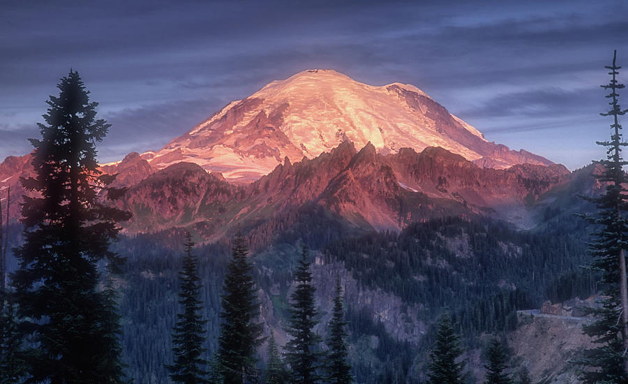 First Light On Mount Rainier #1 Photograph by Dave Mills
