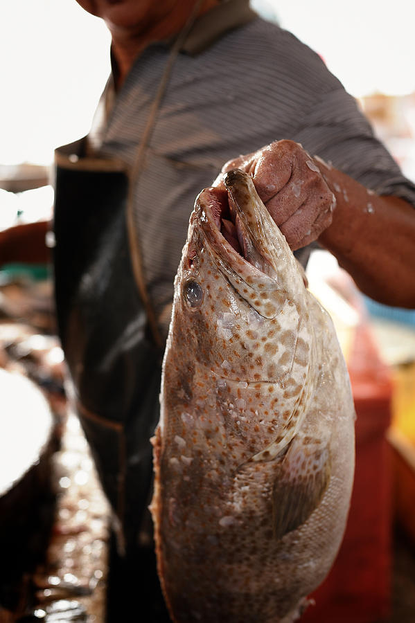 Fish monger, Penang #1 Photograph by Carlina Teteris