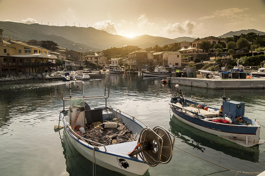 Fishing boats in traditional harbour, Centuri, Corsica, France #1 Photograph by Walter Zerla