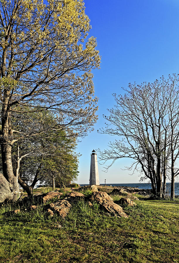 Five Mile Point Lighthouse through trees #1 Photograph by Doolittle Photography and Art