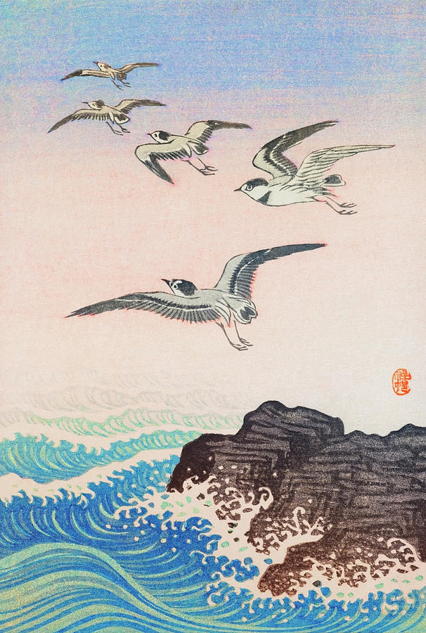 Animal Painting - Five seagulls above the sea  #1 by Ohara Koson