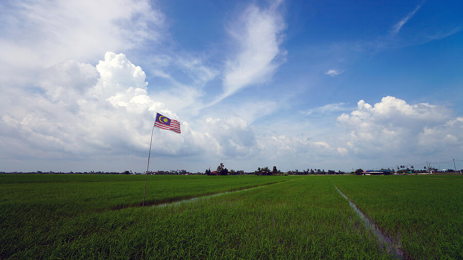 Flag at paddy field #1 Photograph by Shaifulzamri