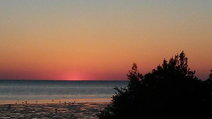Flaming Orange Sunset  #1 Photograph by Belinda Lee