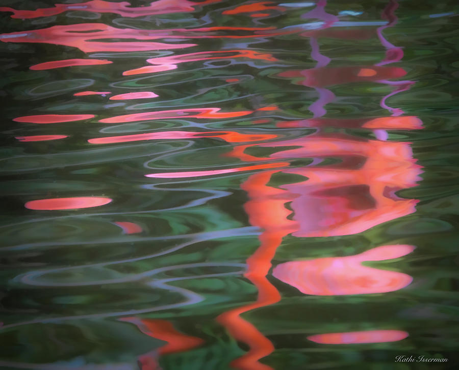 Flamingo Reflections I Photograph by Kathi Isserman