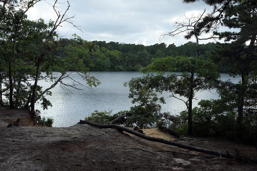 Flax Pond Conservation Area, Dennis MA Photograph by Thomas Henthorn ...