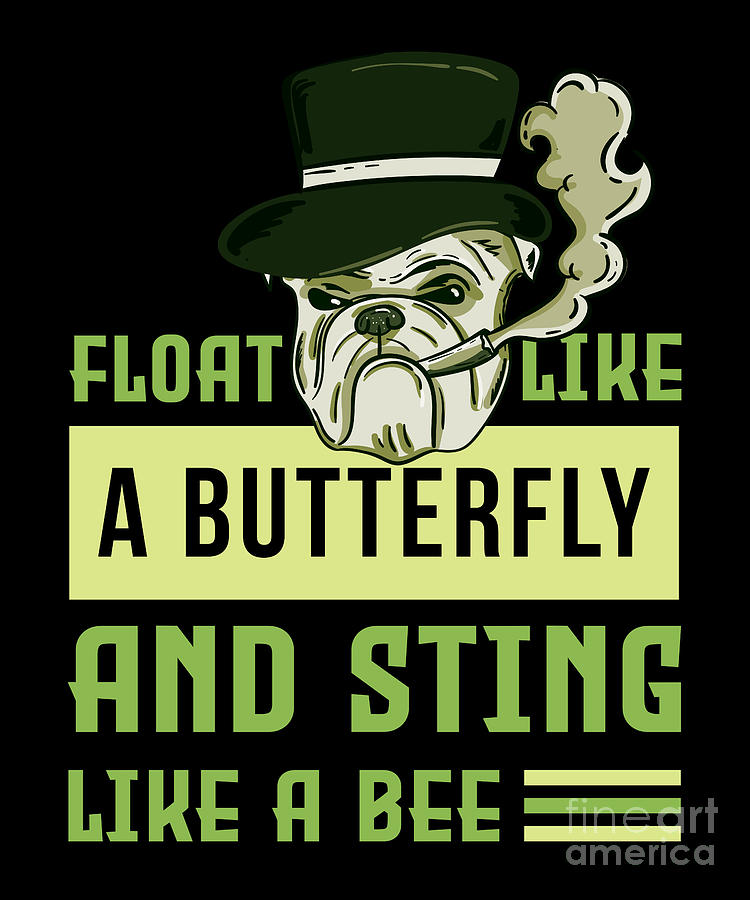 Float Like A Butterfly And Sting Like A Bee Digital Art By Shir Tom