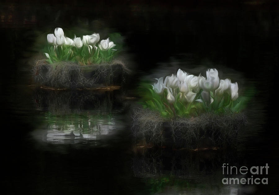 Floating Tulips #1 Photograph by Kathy Baccari