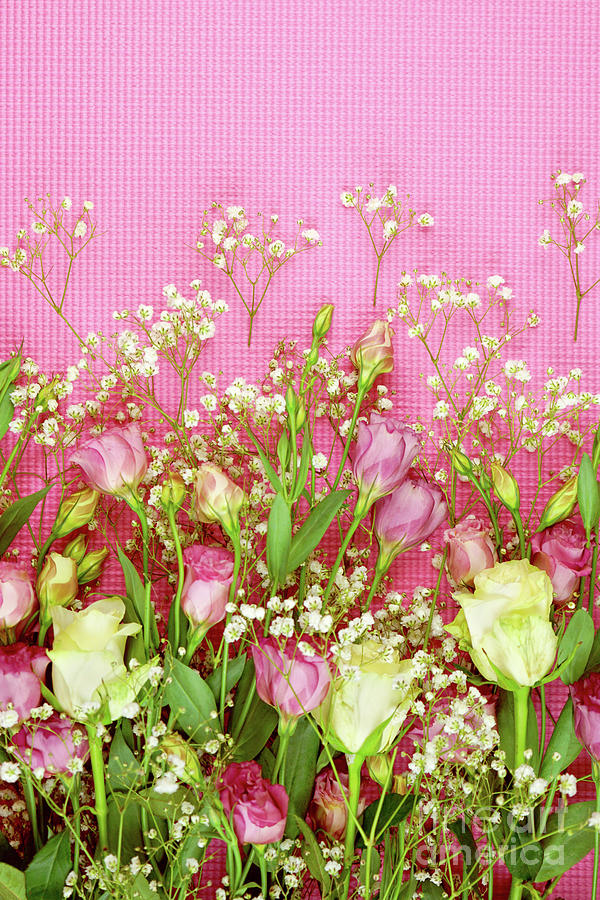 Floral background for feminine holiday, birthday, or Mothers Day celebration. #1 Photograph by Milleflore Images