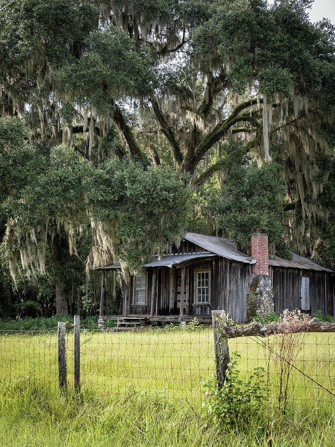 Florida Cracker Homes, Shiloh, Florida #1 Photograph by Dawna Moore Photography