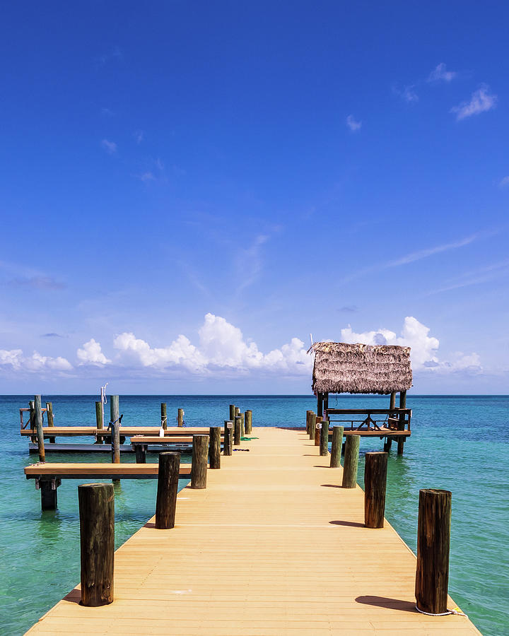 Florida Keys Scenery Photograph by Stefan Mazzola - Fine Art America