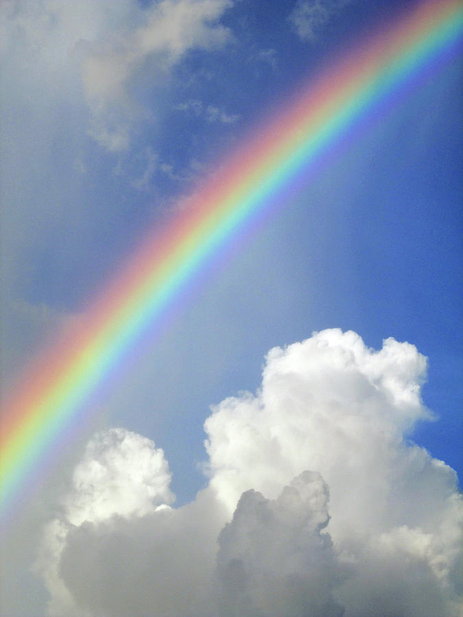 Florida Rainbow #2 Photograph by Corinne Carroll