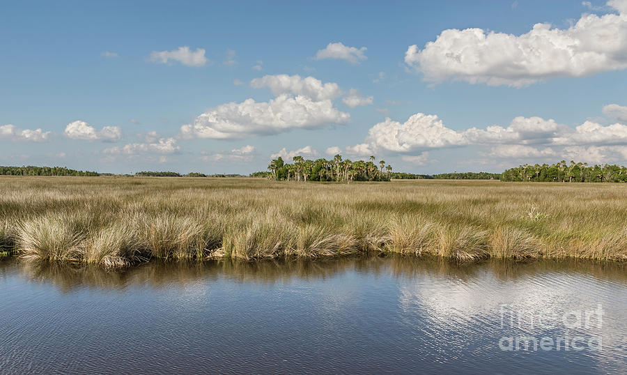 Blue Photograph - Florida Salt Marsh #1 by John Arnaldi