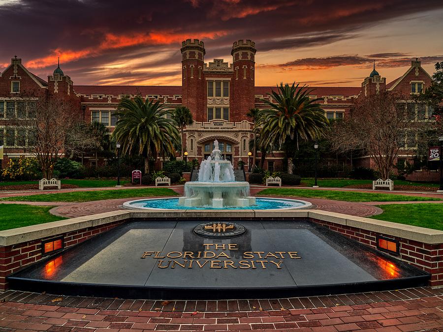 Florida State University #1 Photograph by Mountain Dreams