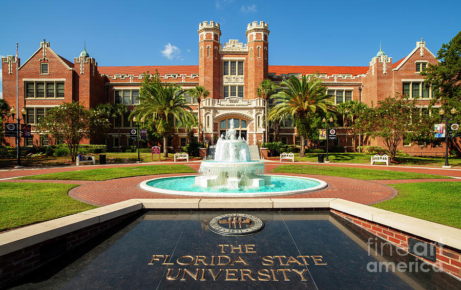 Florida State University #1 Photograph by Raul Rodriguez