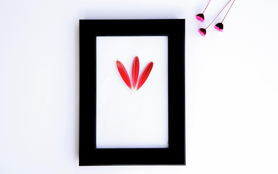 Flower Composition With Black Photo Frame On A White Background. Photograph