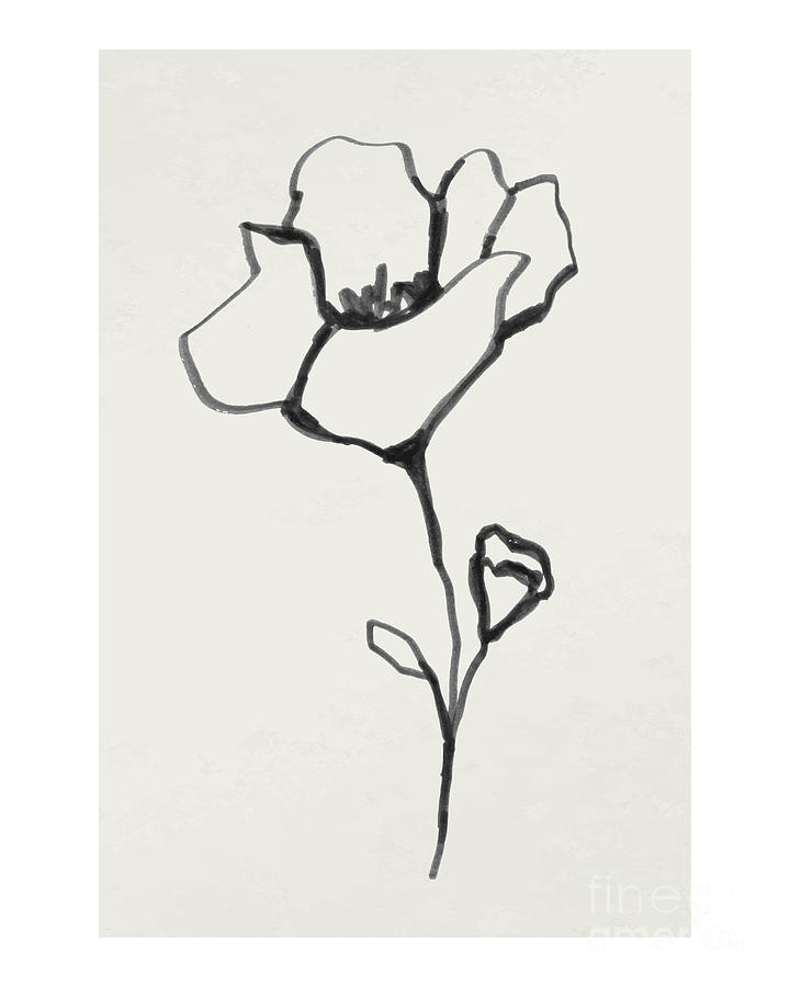 Flower minimal poster ink line art design Drawing by Word Fandom - Fine ...