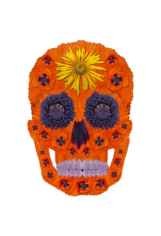 Flower Skull 1 #1 Digital Art by Agustin Goba