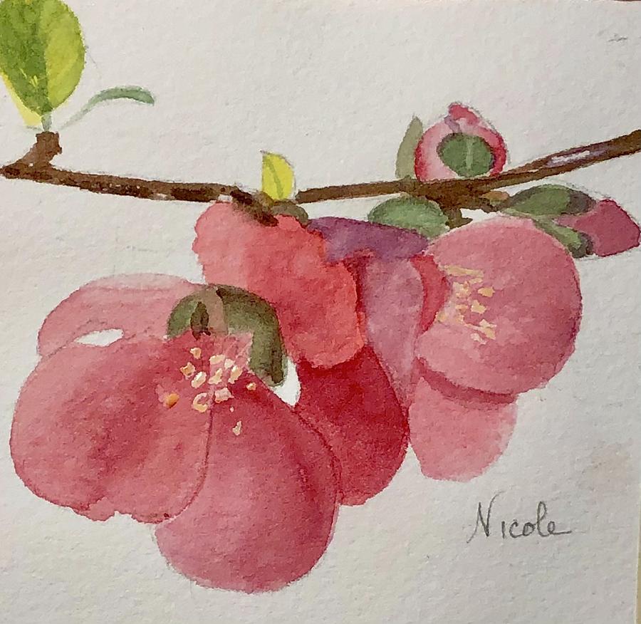 Quince Petals Painting