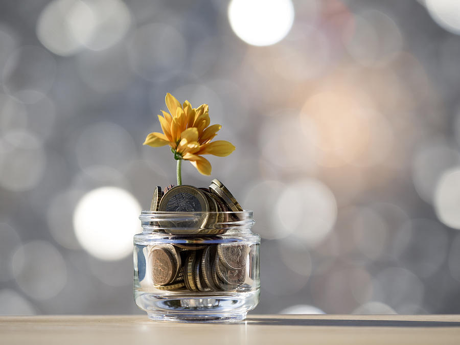 Flowerpot of crystal with a plant, growing inside a heap of coins of Euro #1 Photograph by Jose A. Bernat Bacete