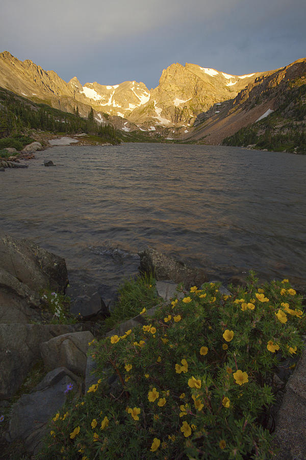Flowers and Lake Isabelle near Boulder, Colorado #1 Photograph by Lightvision, LLC