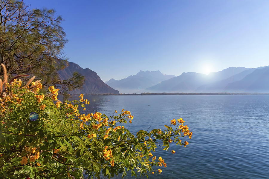 Flowers at Geneva lake, Montreux, Switzerland #1 Photograph by Elenarts - Elena Duvernay photo