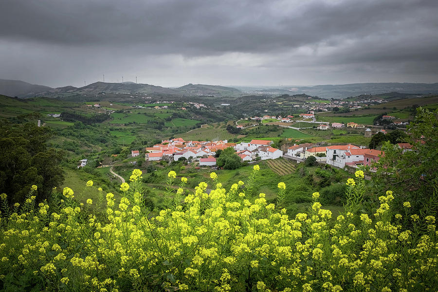 Flowery Countryside #1 Photograph by Carlos Caetano