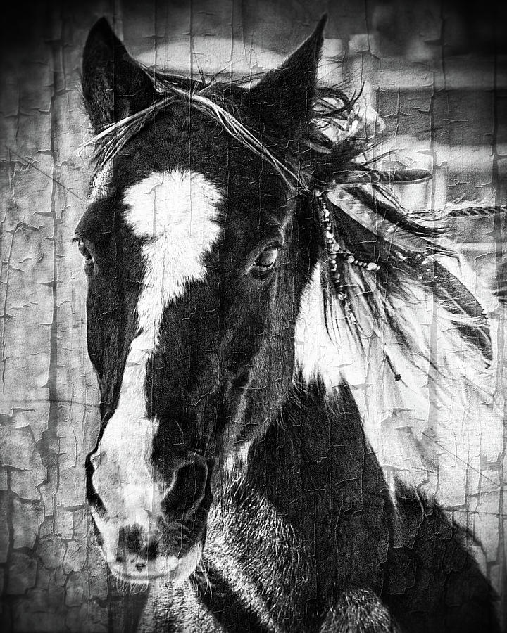 Flowing Mane #1 Photograph by Jerry Cowart