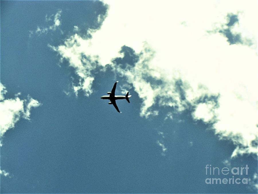 Flying High Photograph by Charlene Adler - Fine Art America