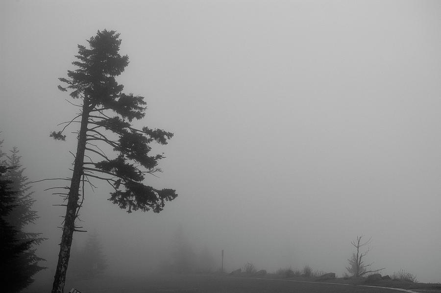 Fog at Clingmans Dome_001 Photograph by James C Richardson
