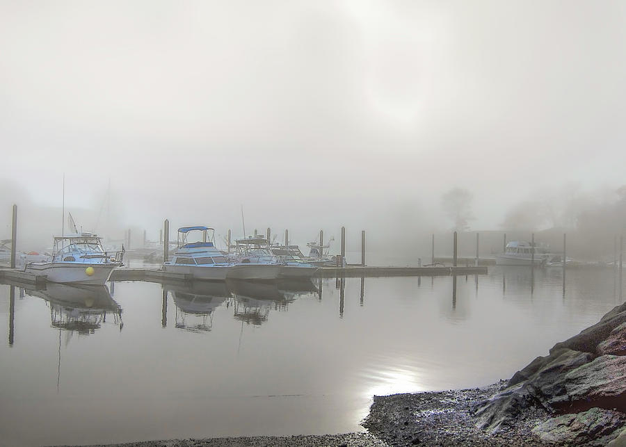 Fog at the marina #1 Photograph by Cordia Murphy