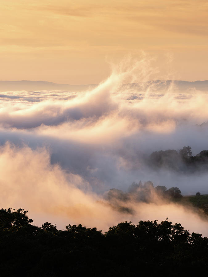 Fog Waves Photograph by Shelby Erickson