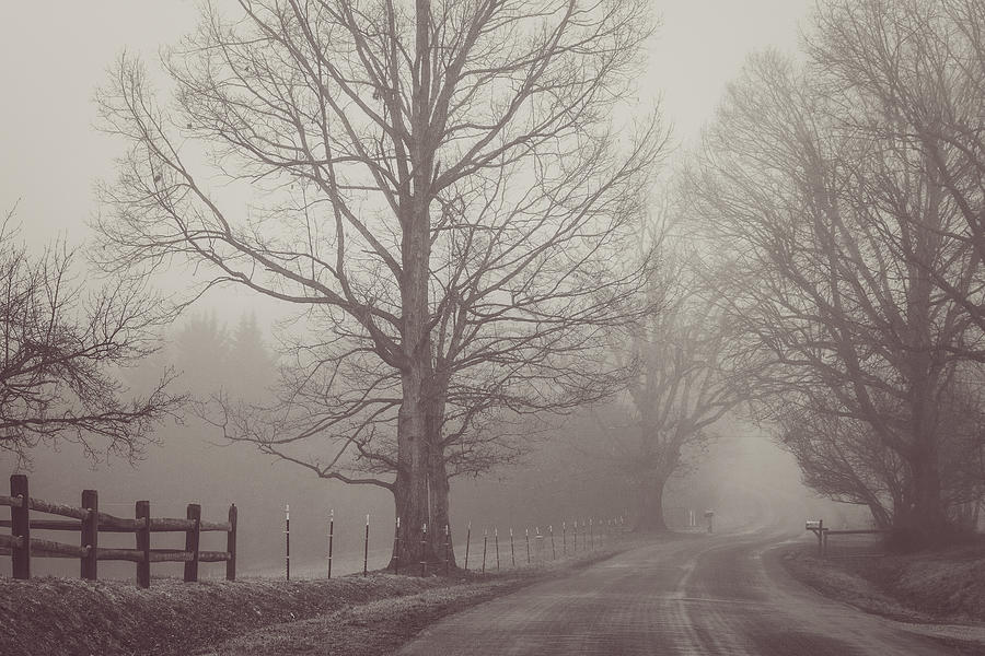 Foggy Country Road #1 Photograph by Joni Eskridge