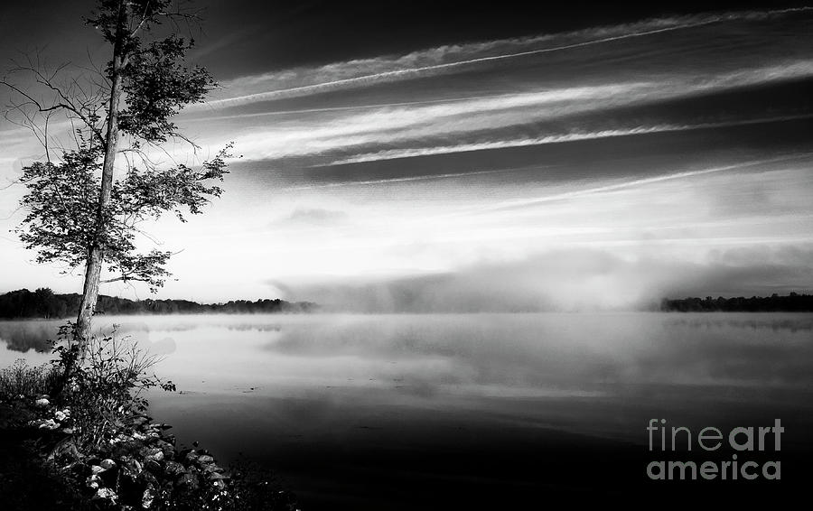 Foggy Dawn Black And White Photograph