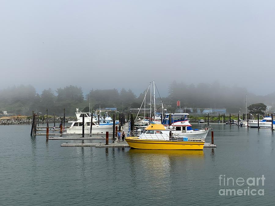 Boat Photograph - Foggy Day #1 by Dorota Nowak