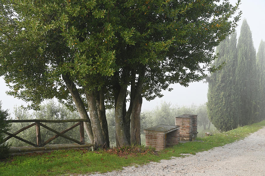 Foggy Morning at Tuscany Rural Villa 7 #1 Photograph by Jenny Rainbow