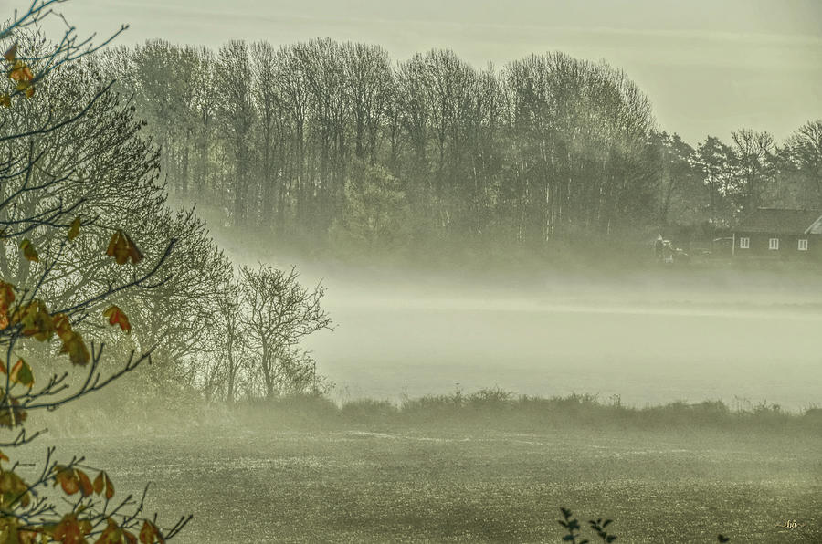 Foggy morning #1 Photograph by Elaine Berger