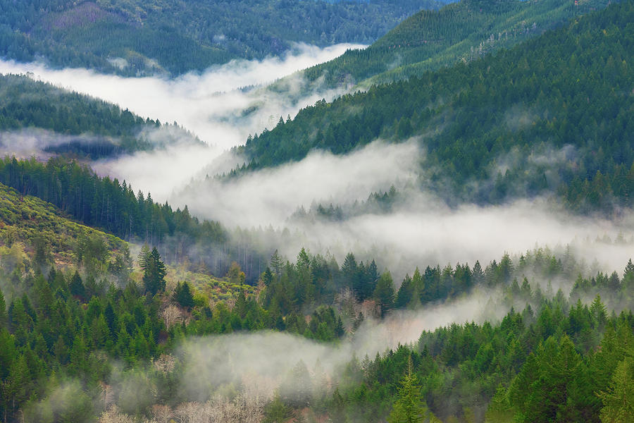 Foggy Oregon Valley 2 Photograph