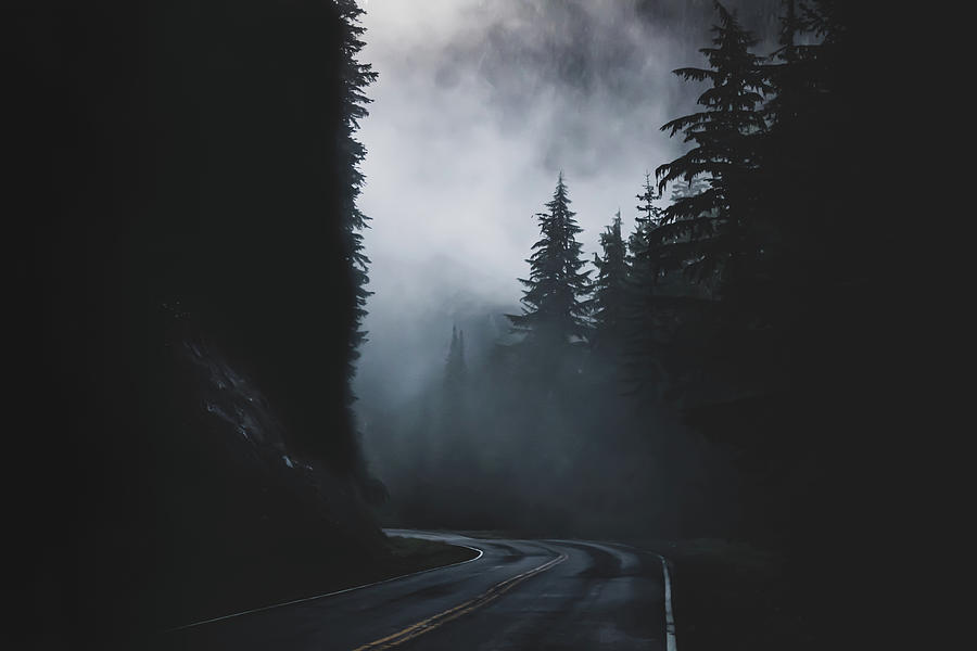 Foggy Roads to Nowhere #2 Photograph by Christopher Poole - Fine Art ...