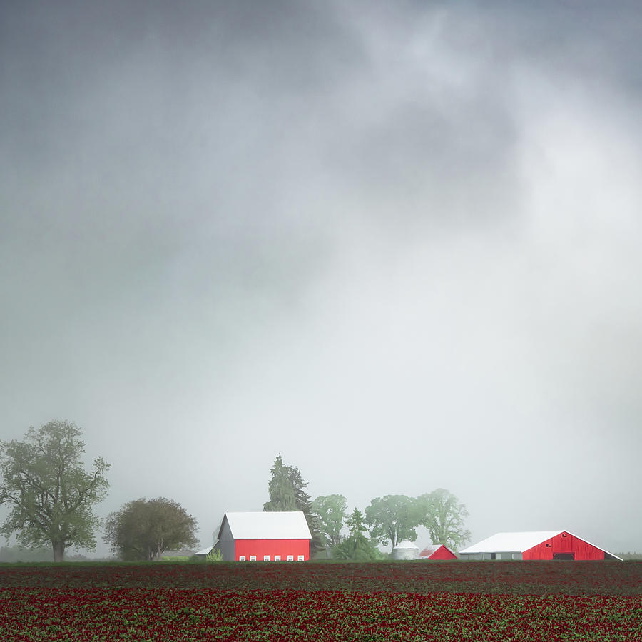 Foggy Spring Morning in the Country #1 Photograph by Don Schwartz