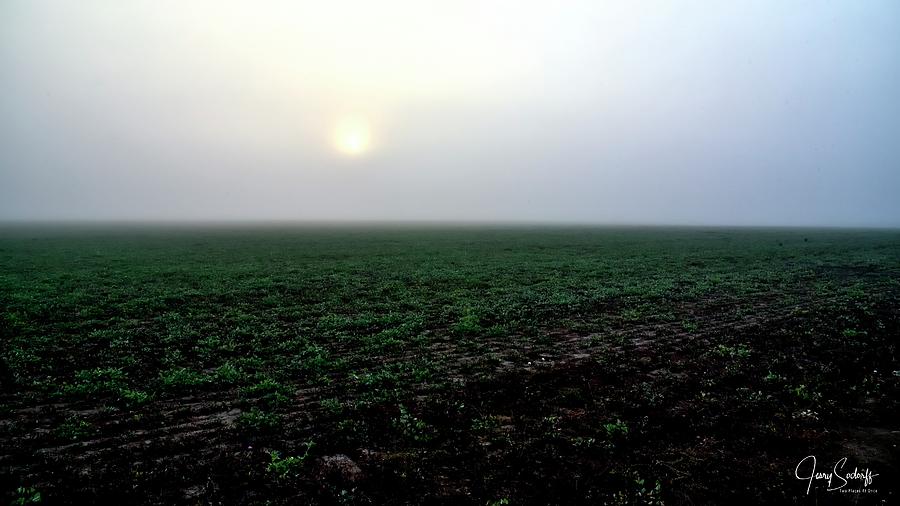 Foggy Sunrise Field #1 Photograph by Jerry Sodorff