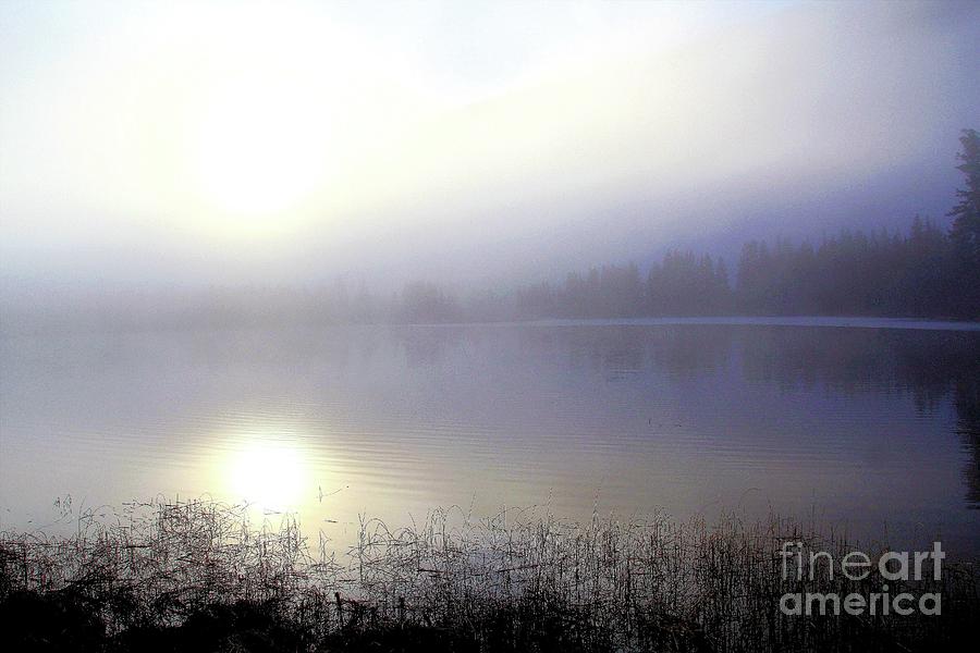 Foggy Sunrise #1 Photograph by Roland Stanke
