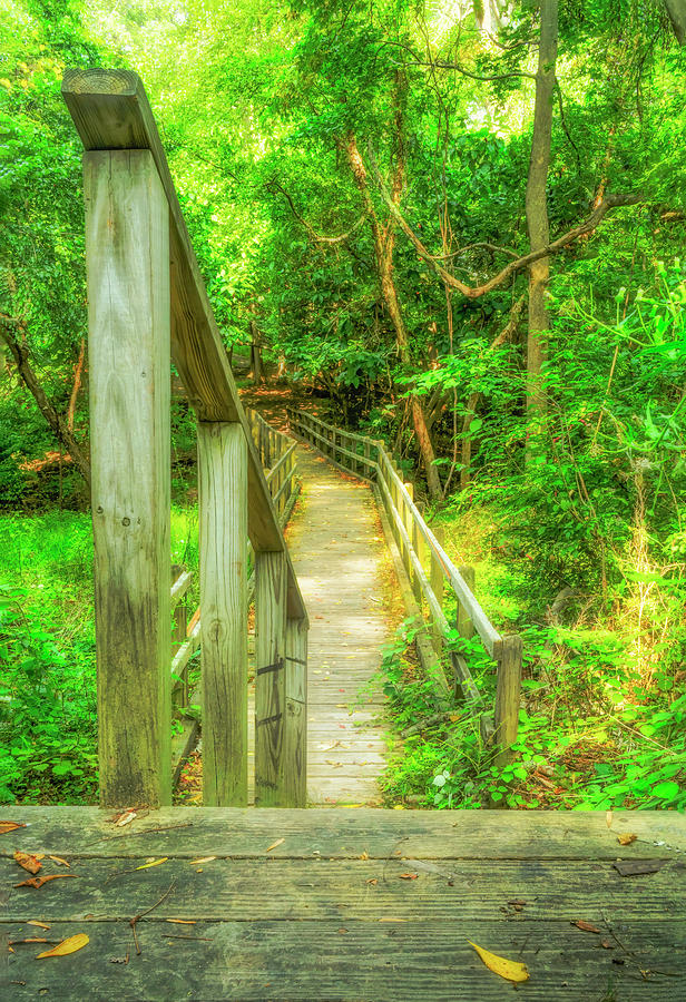 Footbridge To Edge Of Forest #1 Photograph by Gary Slawsky