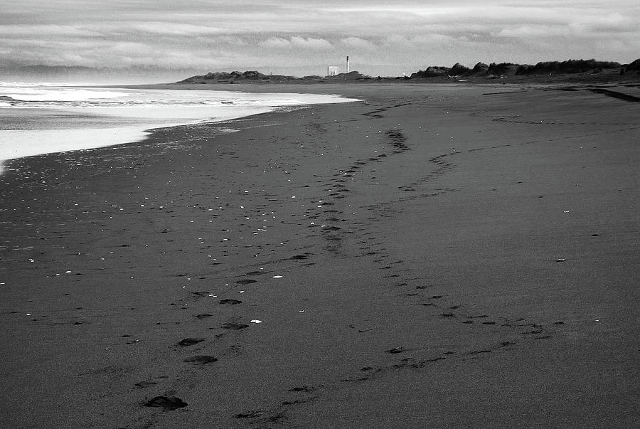 Footprints #1 Photograph by Dr Janine Williams