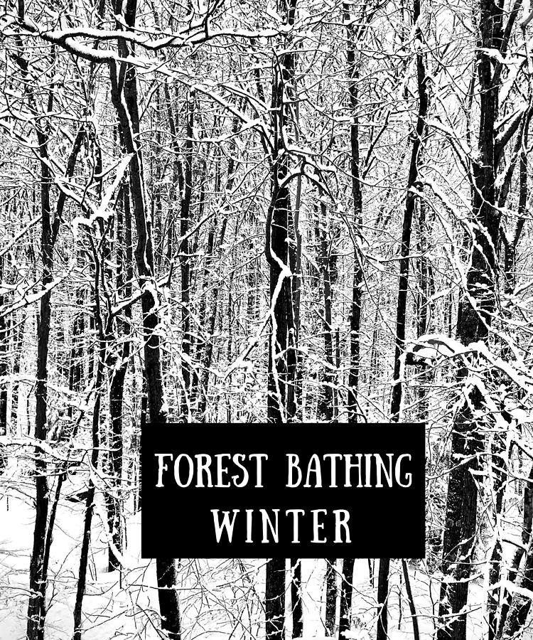 Forest Bathing in Winter Digital Art by Diane Hocker Fine Art America