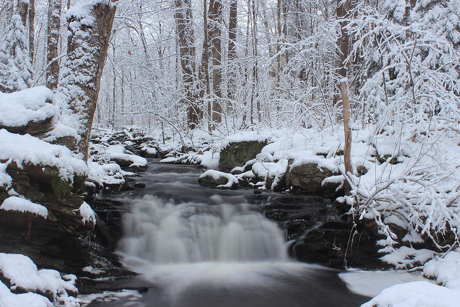 Winter Photograph - Forest Stream in Winter #1 by John Burk