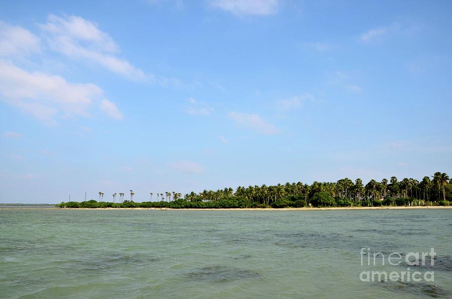 Tree Photograph - Forested tropical beach with coral and blue sky Jaffna Peninsula Sri Lanka #2 by Imran Ahmed