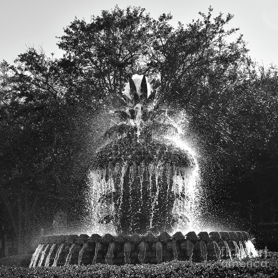 Fountain In The Park #1 Photograph by Skip Willits