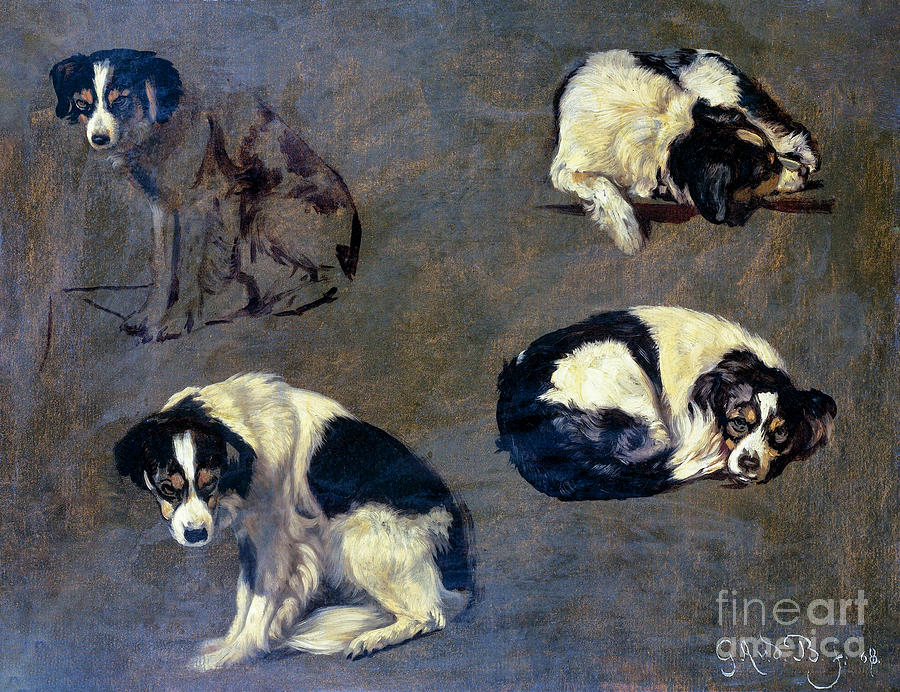 Four Studies Of A Dog Painting
