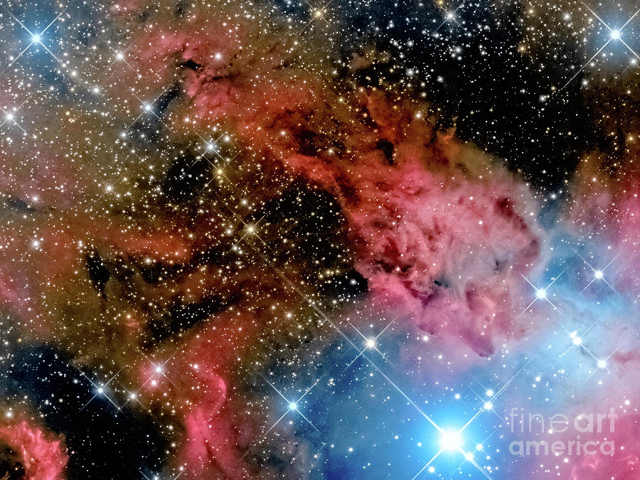 Fox Fur Nebula #1 Photograph by Jim DeLillo